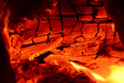 DSC_0120 (Large).JPG